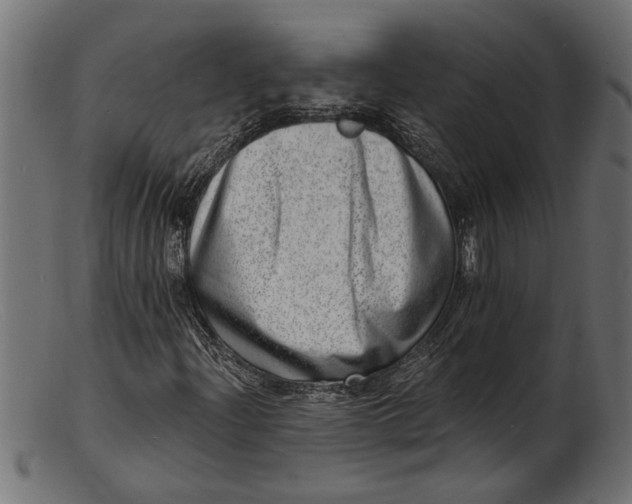 X0000103241204200809111549