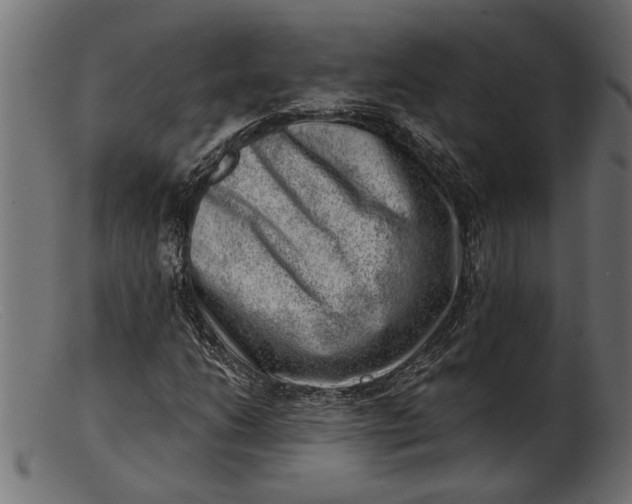 X0000103241206200809111549