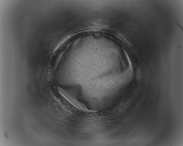 X0000103241208200809111549