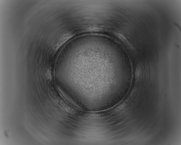 X0000103241209200809111549