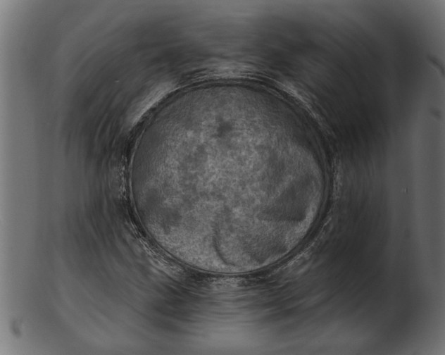 X0000103241211200809111549