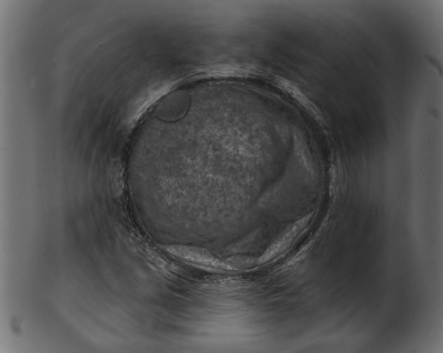 X0000103241213200809111549