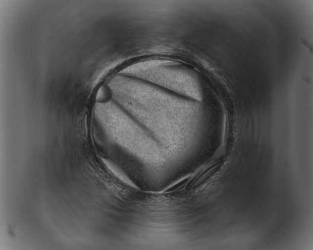 X0000103241214200809111549