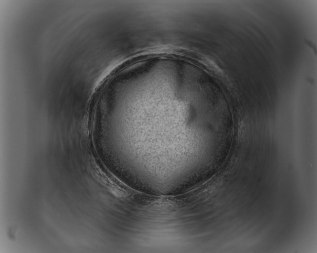 X0000103241216200809111549