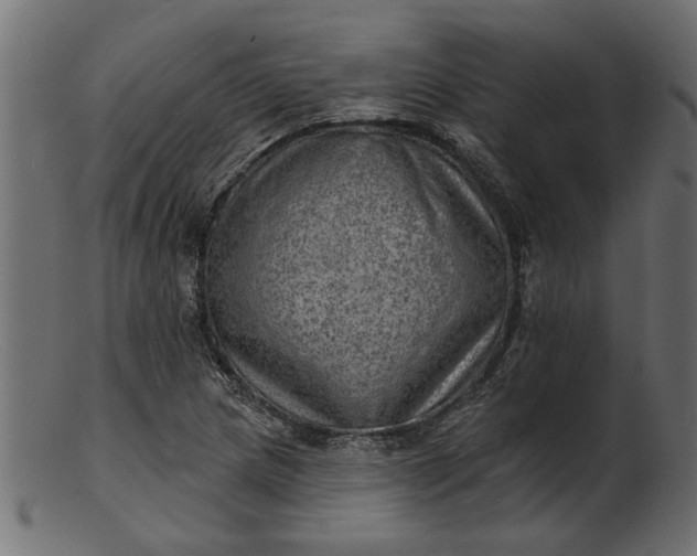 X0000103241217200809111549