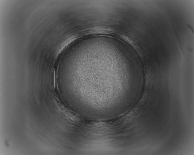 X0000103241219200809111549