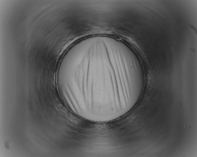 X0000103241220200809111549