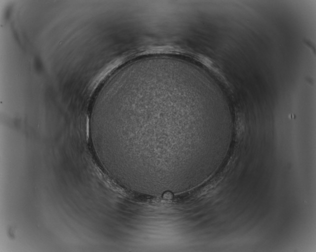 X0000103241221200809111549