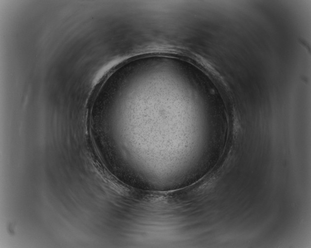 X0000103241222200809111549