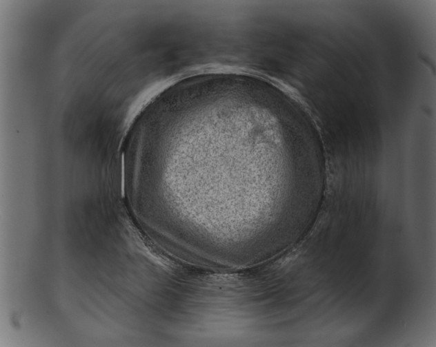 X0000103241223200809111549