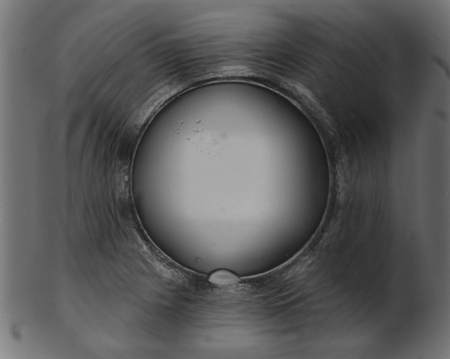 X0000103241225200809111549