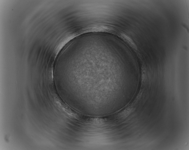 X0000103241226200809111549