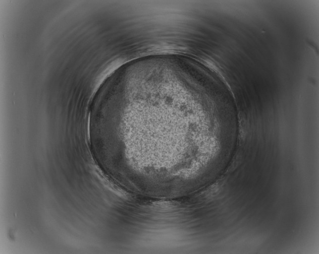 X0000103241227200809111549