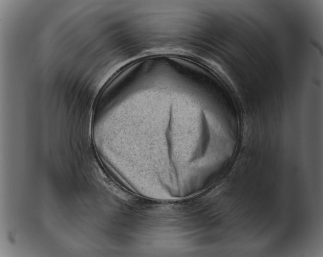 X0000103241228200809111549