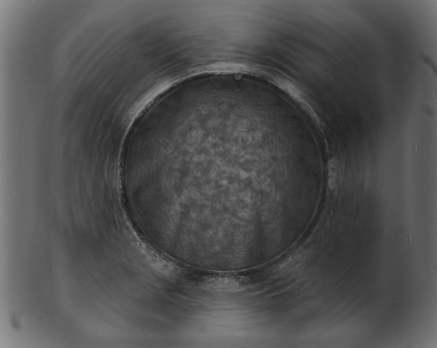 X0000103241229200809111549