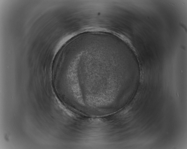 X0000103241231200809111549