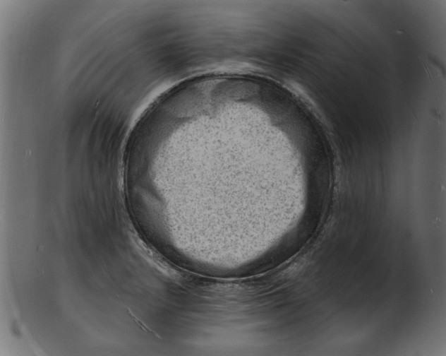 X0000103241232200809111549