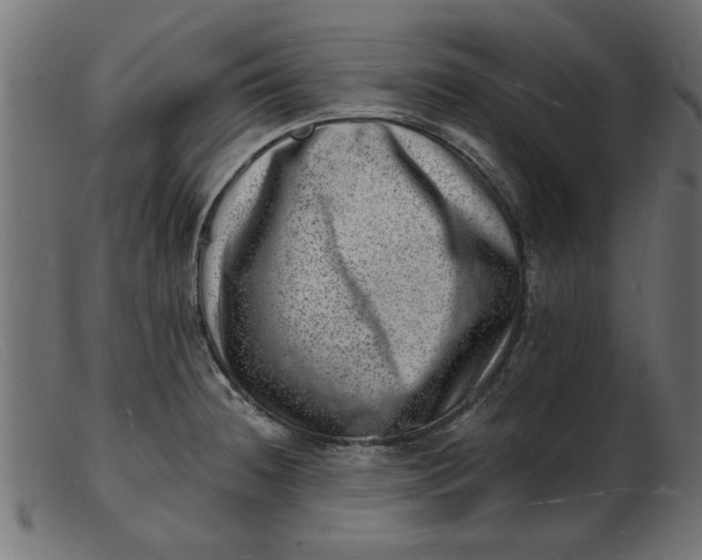 X0000103241236200809111549