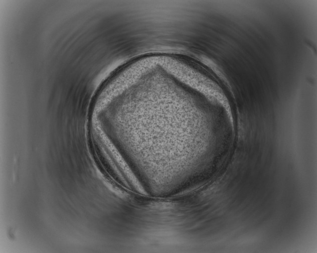 X0000103241237200809111549