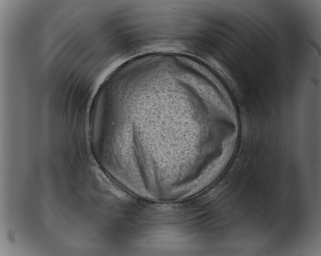 X0000103241240200809111549