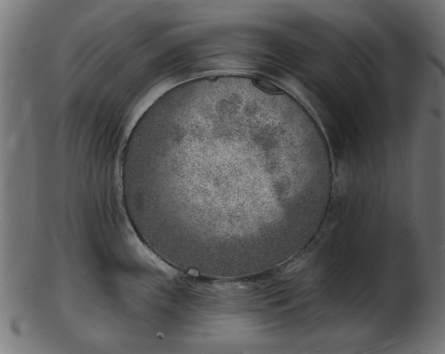 X0000103241243200809111549