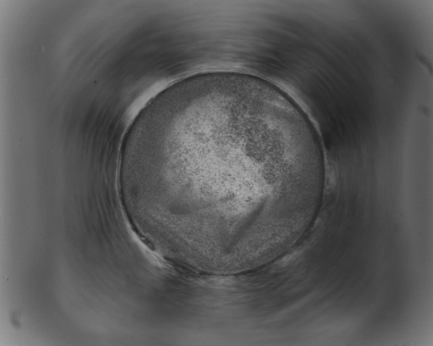 X0000103241245200809111549