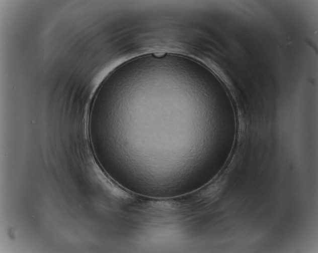 X0000103241246200809111549