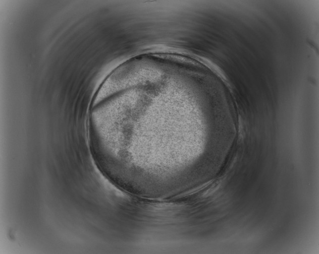 X0000103241247200809111549