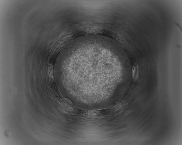 X0000103241251200809111549