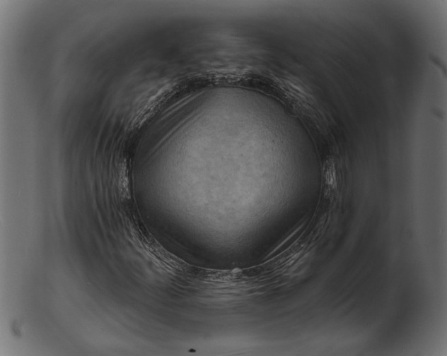 X0000103241252200809111549