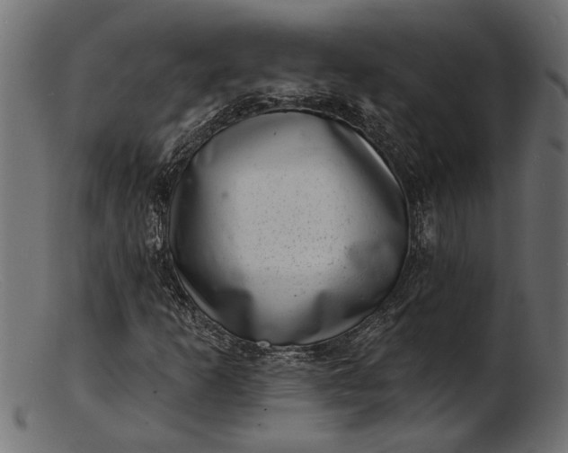 X0000103241253200809111549