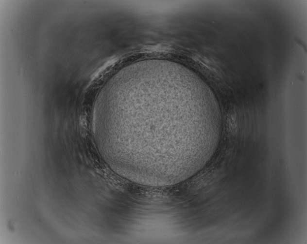 X0000103241254200809111549