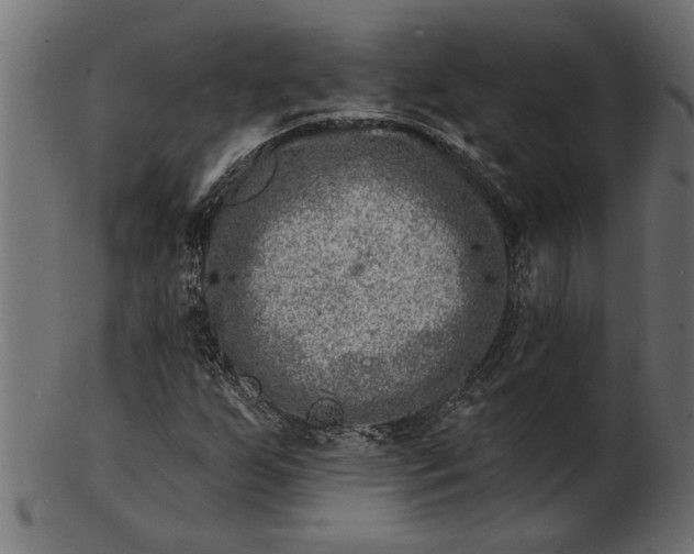 X0000103241255200809111549