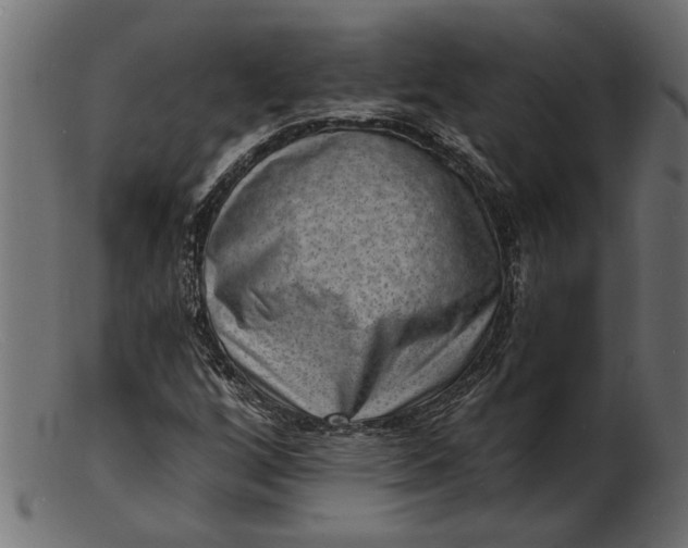 X0000103241256200809111549