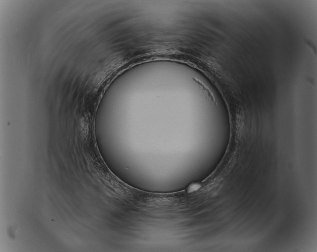 X0000103241257200809111549