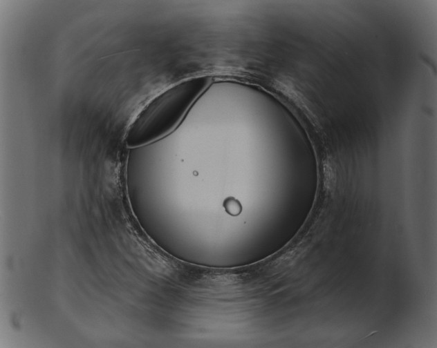 X0000103241260200809111548