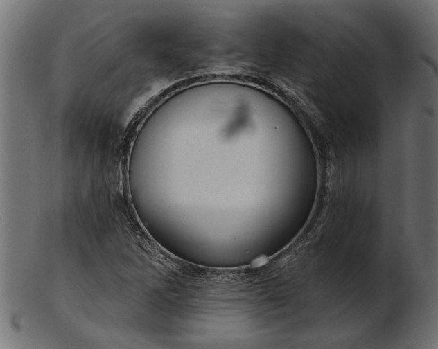 X0000103241262200809111548