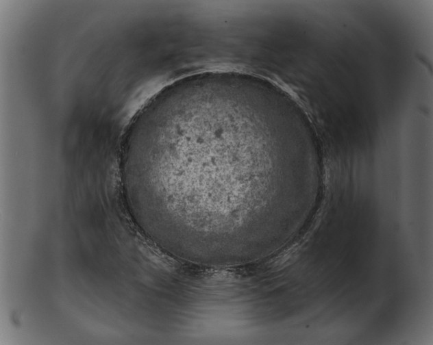 X0000103241263200809111548