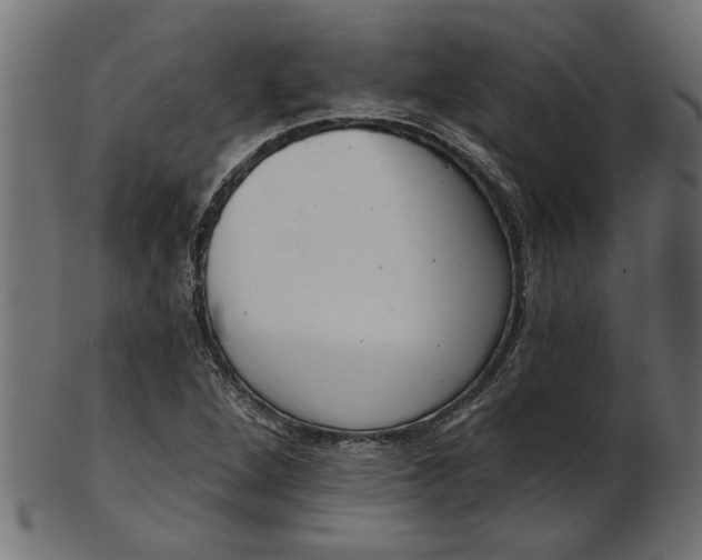 X0000103241264200809111548