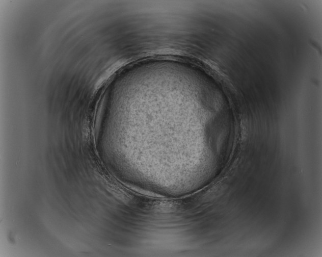 X0000103241266200809111548