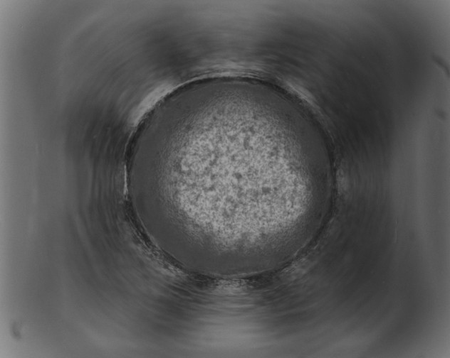 X0000103241267200809111548