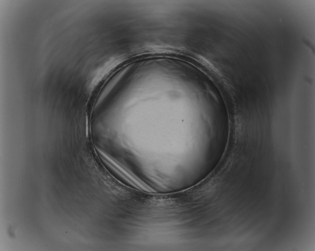 X0000103241269200809111548