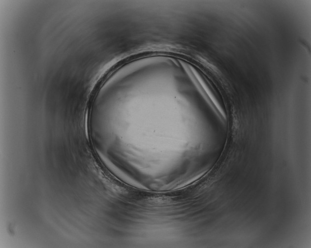 X0000103241272200809111548