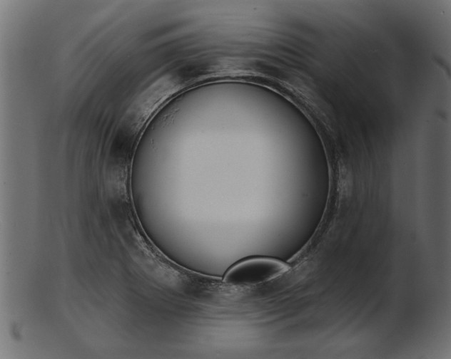 X0000103241273200809111548