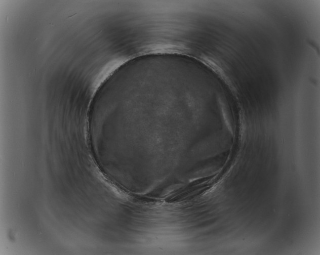 X0000103241277200809111548