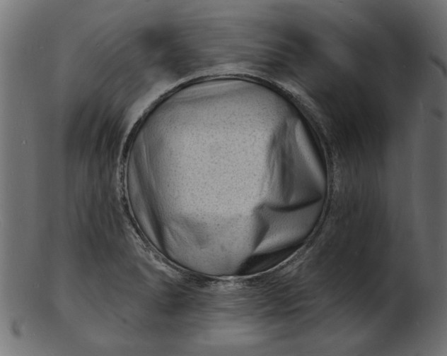 X0000103241278200809111548