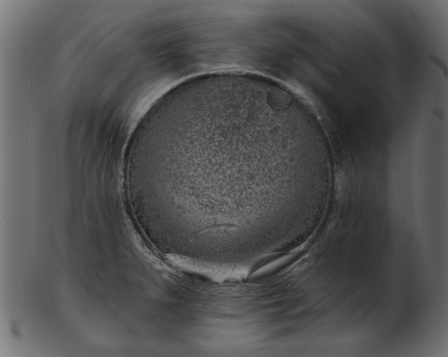 X0000103241279200809111548