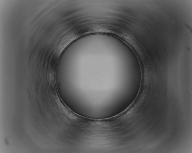 X0000103241281200809111548