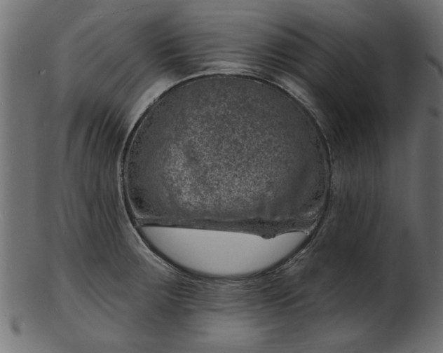 X0000103241283200809111548