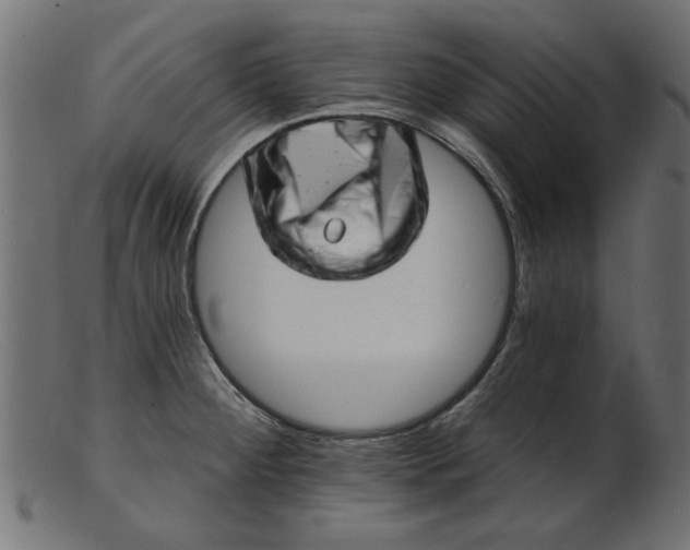 X0000103241284200809111548